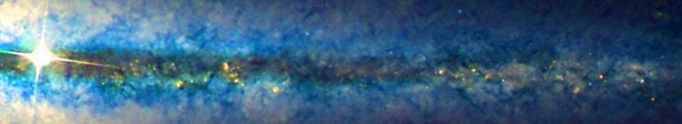 cropped-Brody-Header.jpg